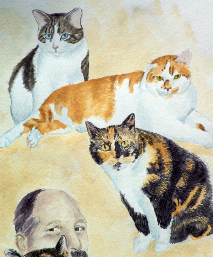 pencil and watercolor of three cats