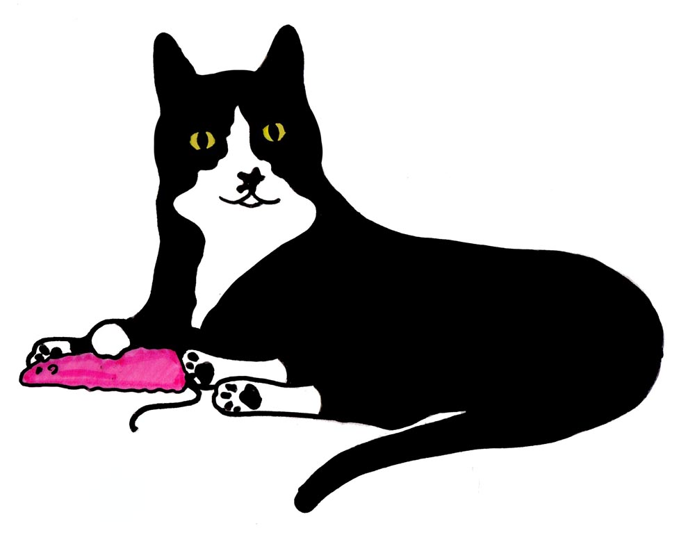 marker sketch of black and white cat with pink mouse