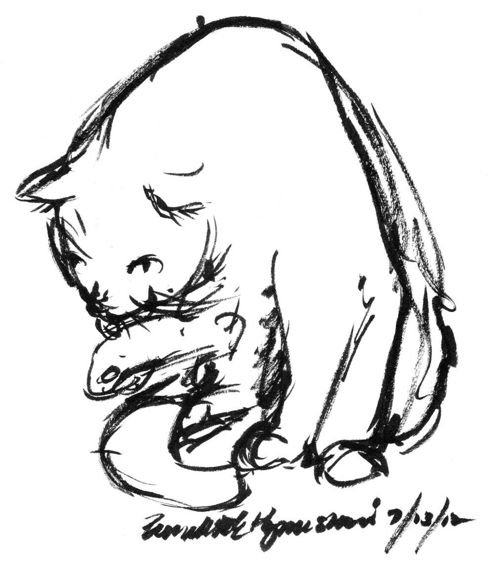 ink brush sketch of cat