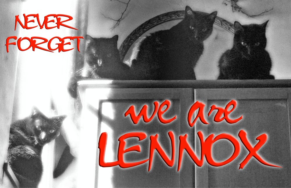 we are lennox four black cats