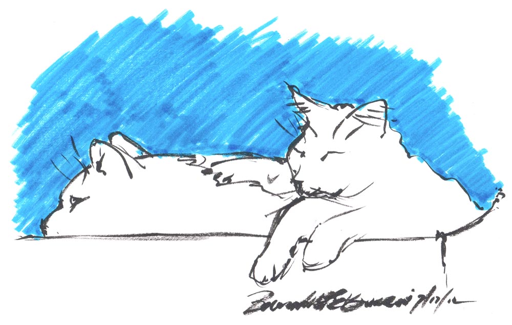 ink sketch of two cats on box