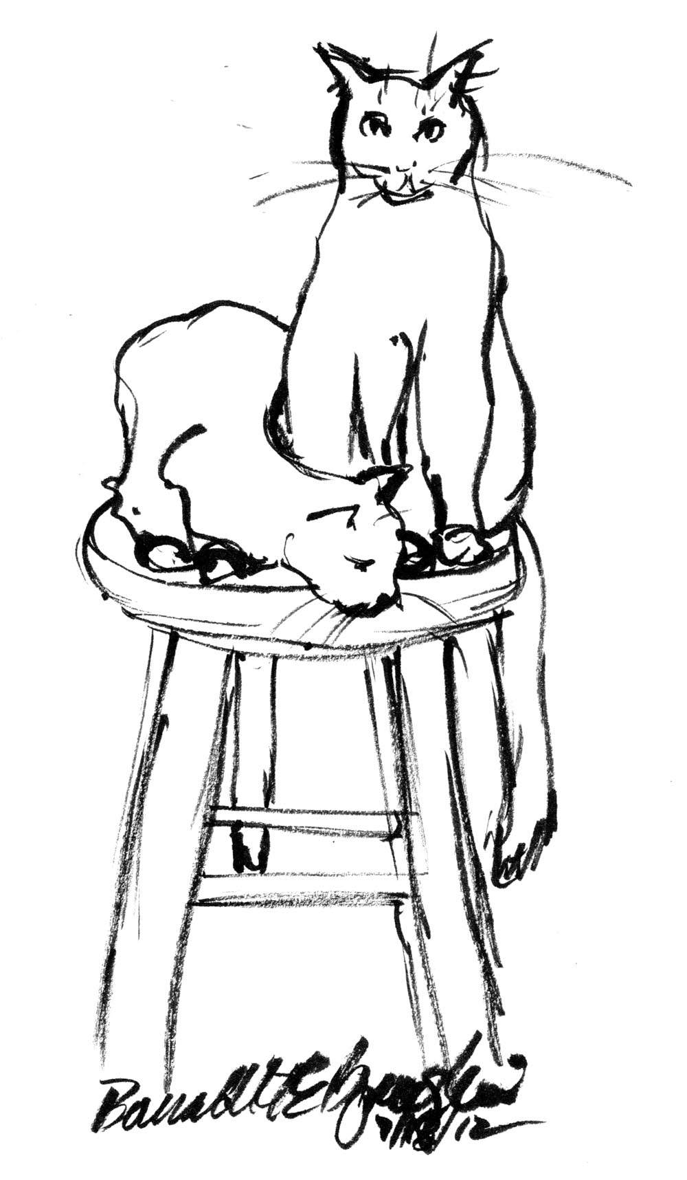 ink sketch of cats on stool