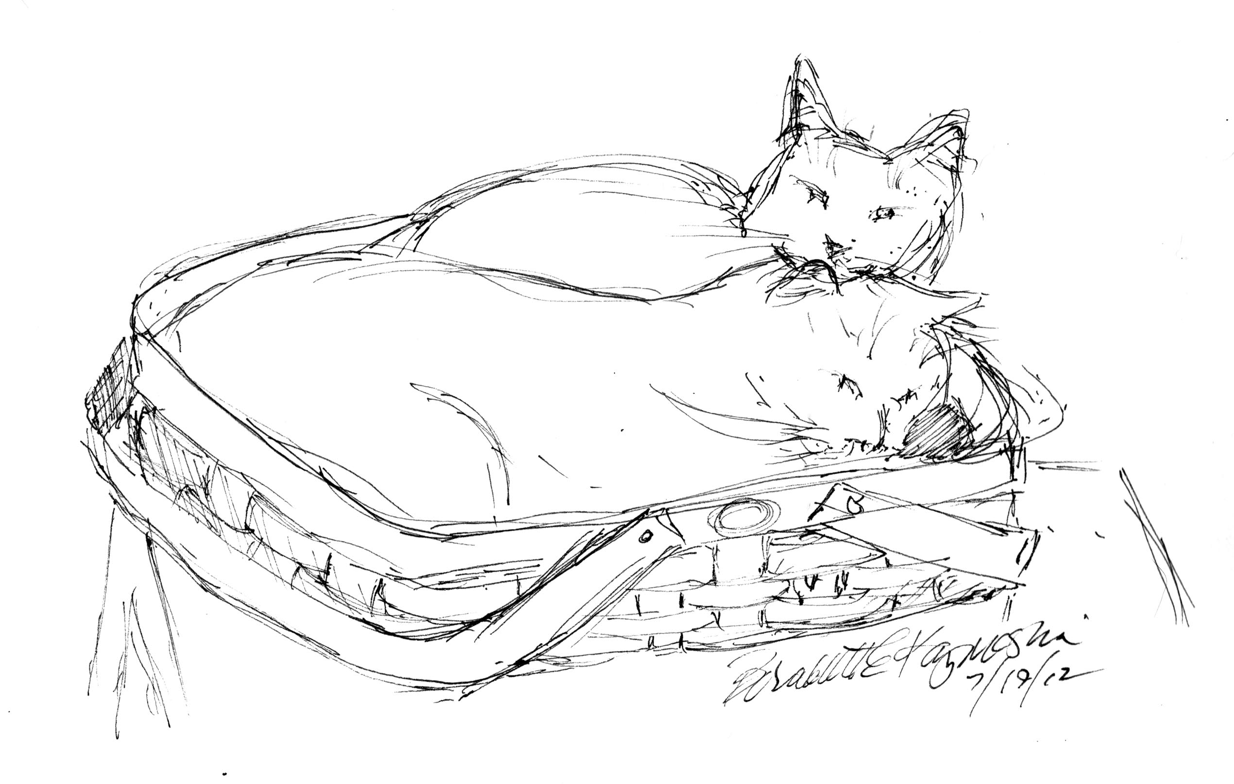 sketch of two cats in a basket