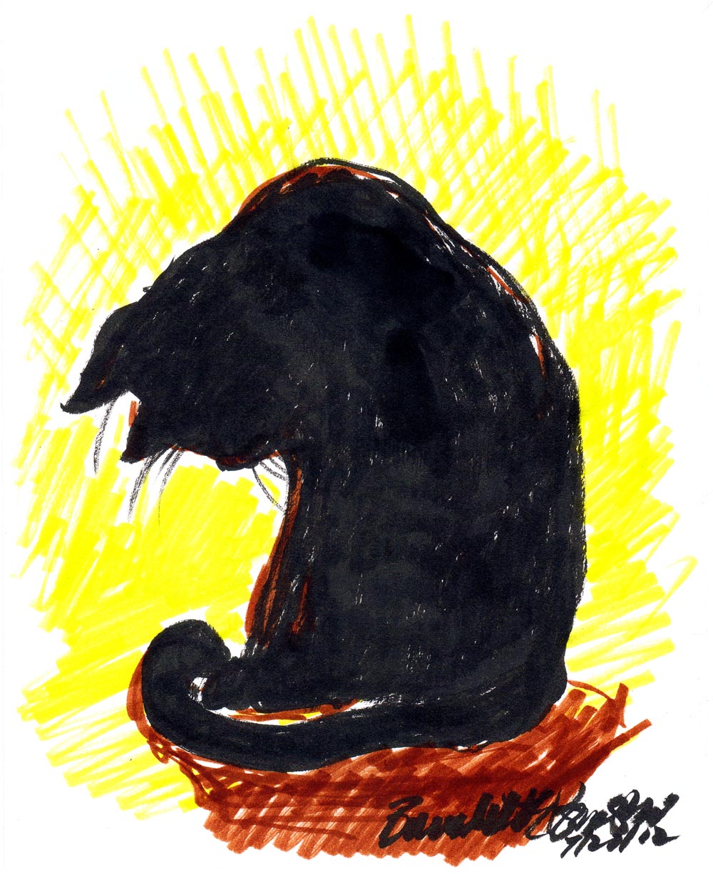 marker sketch of cat looking down at his paws