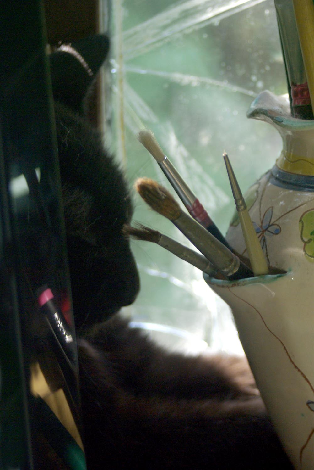 black cat profile with paintbrushes