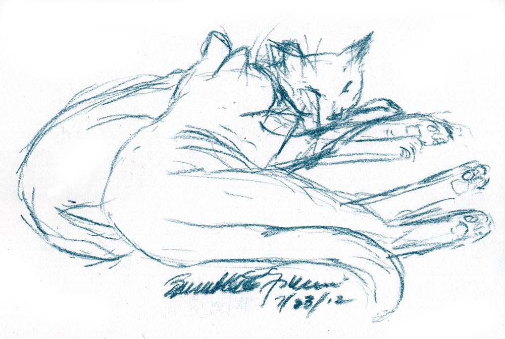 sketch of two cats napping