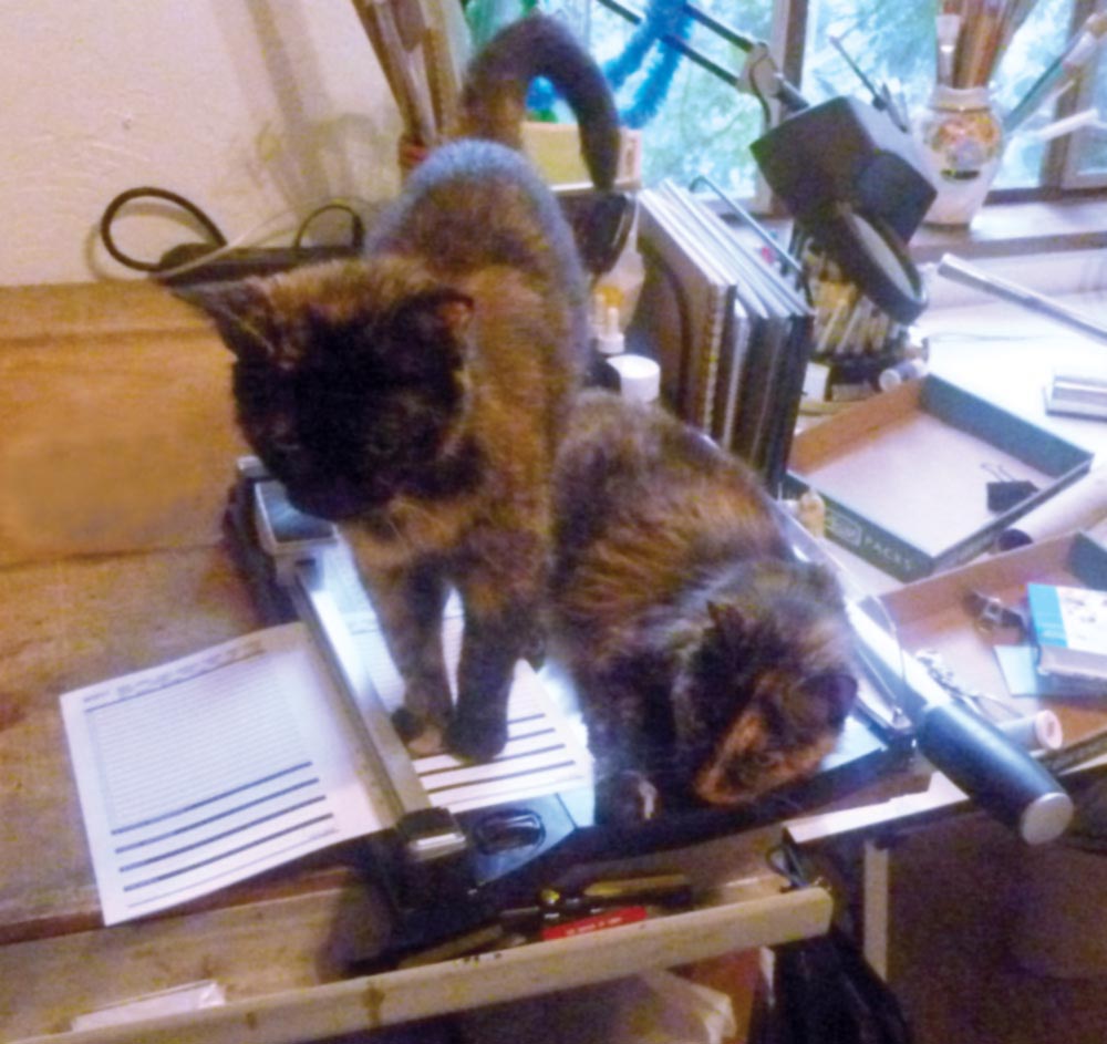 two cats on art table