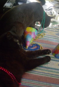 two black cats with party hats