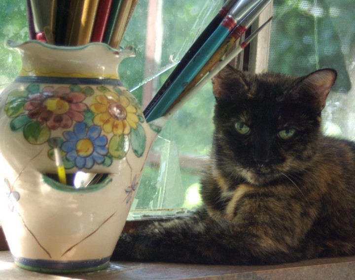 cat with paintbrushes