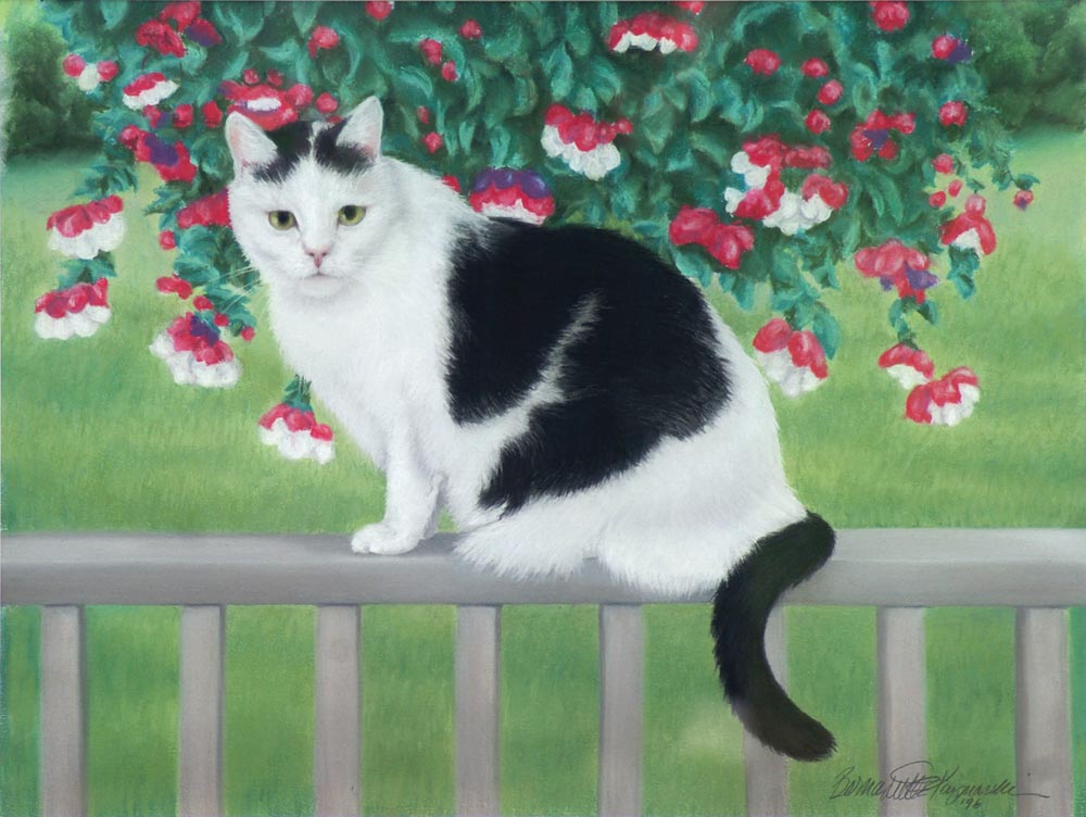 pastel portraits of black and white cat on deck railing with fuchsia