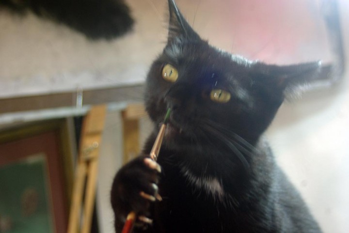 black cat with paintbrush