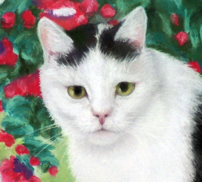 detail of portrait of cat