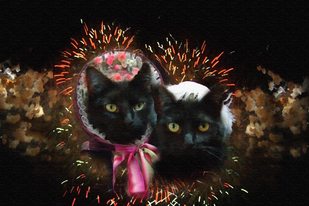 digital painting of two black cats in period dress