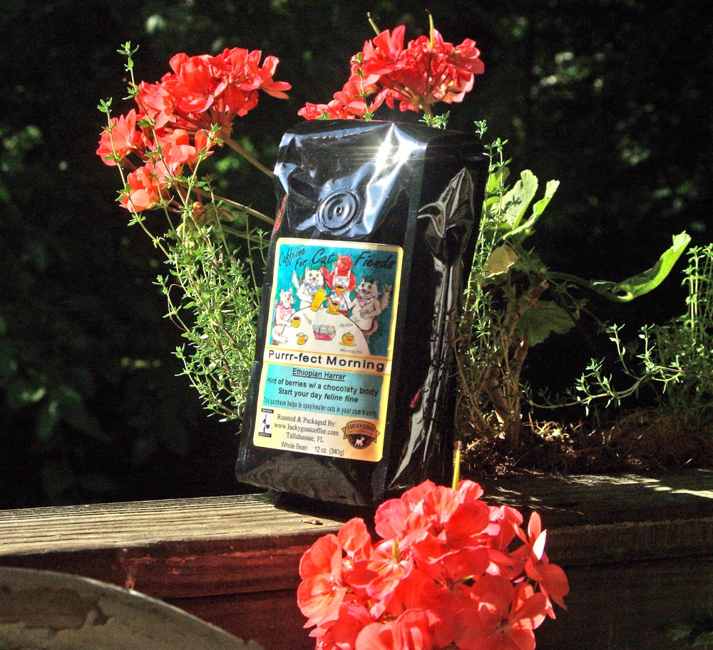 photo of coffee with geraniums