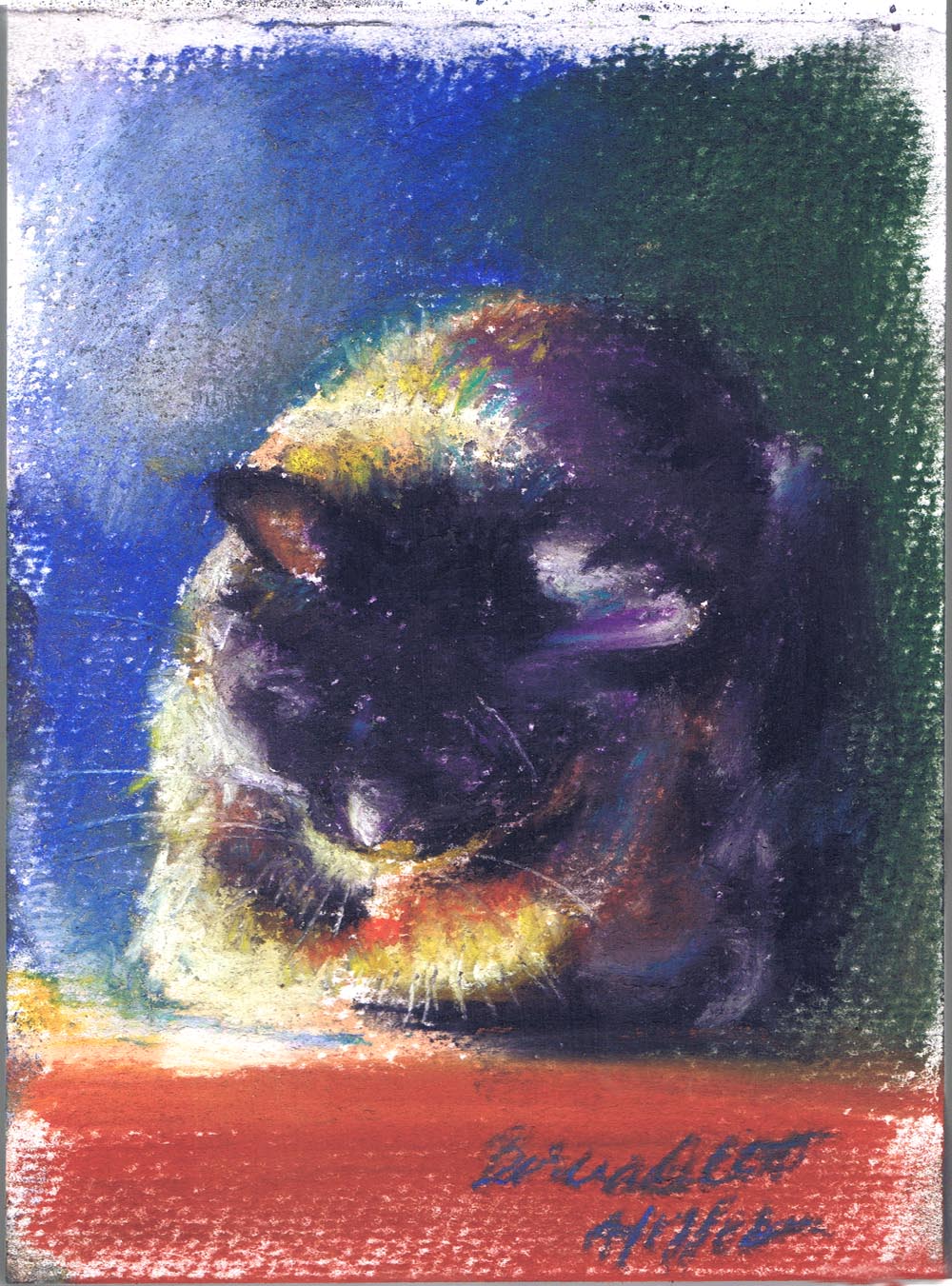pastel sketch of cat