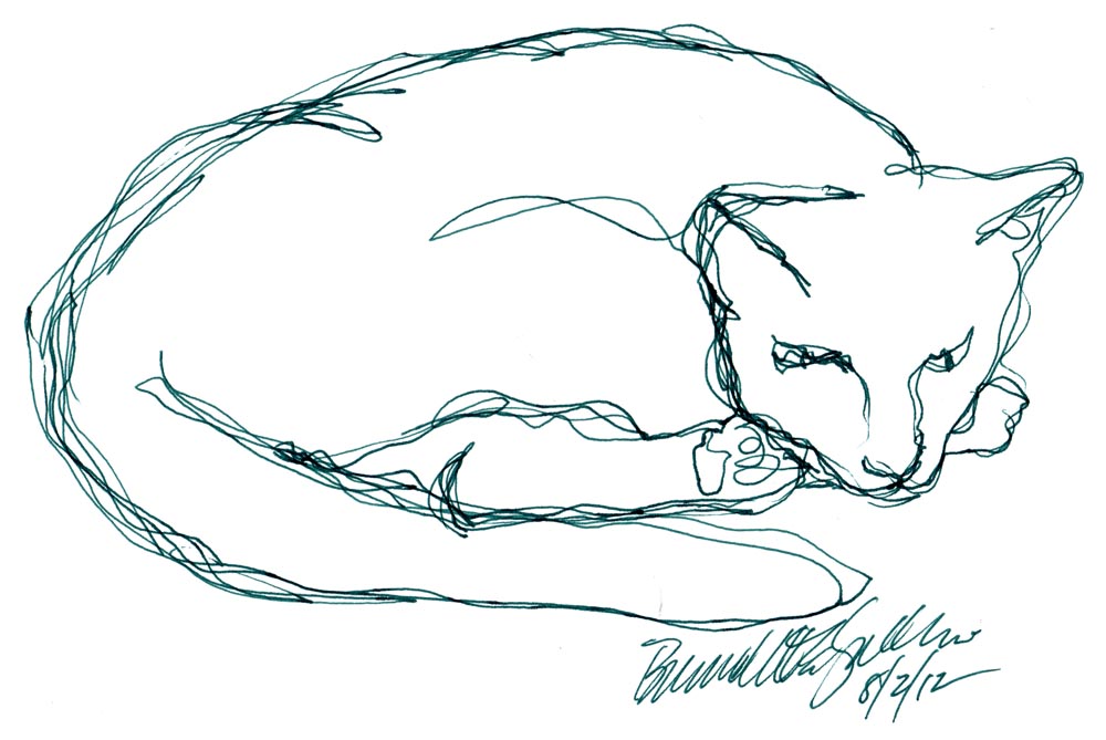 line sketch of cat