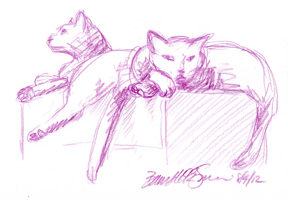 colored pencil sketch of two cats on a box