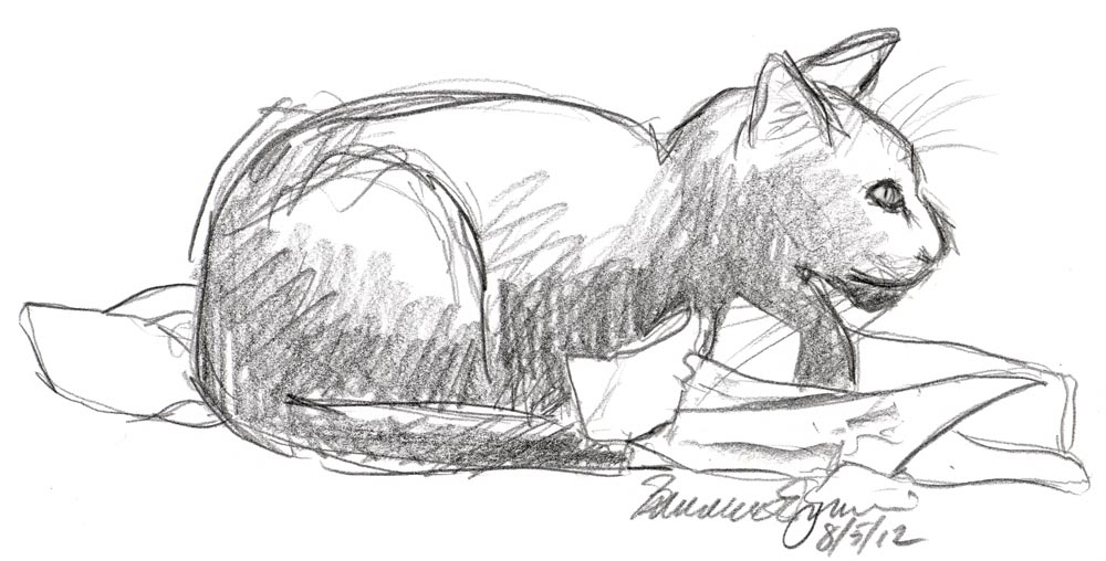 sketch of cat on crumpled paper