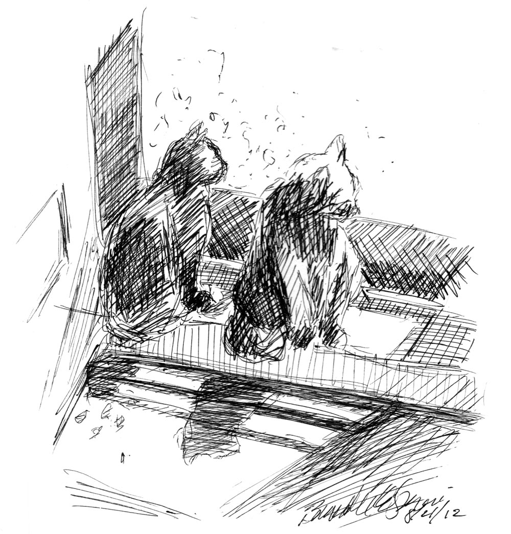 ink sketch of two cats looking out door