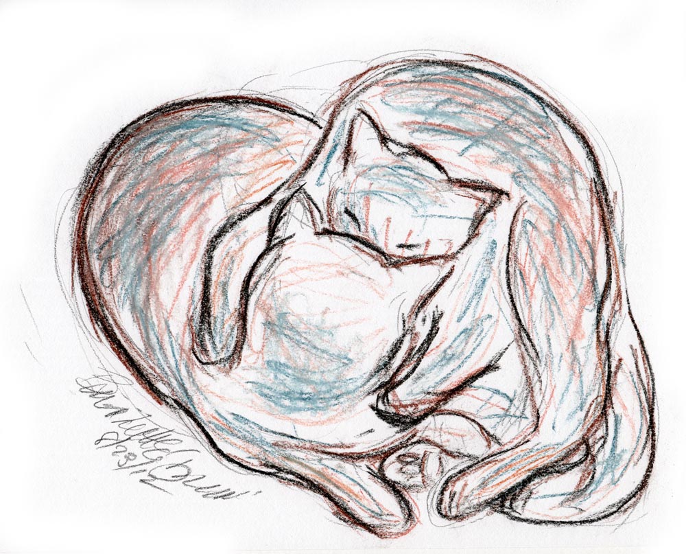 pastel sketch of cats cuddling