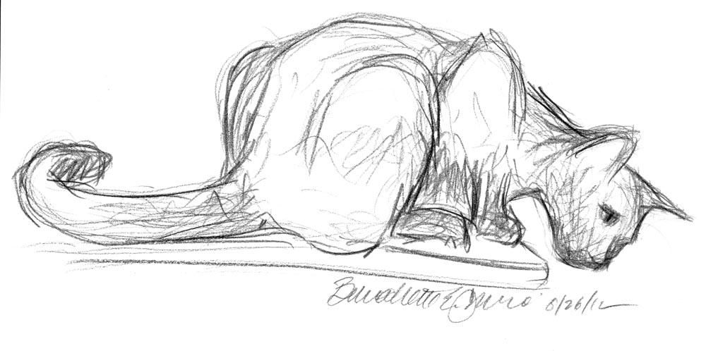pencil sketch of cat crouched on edge of table