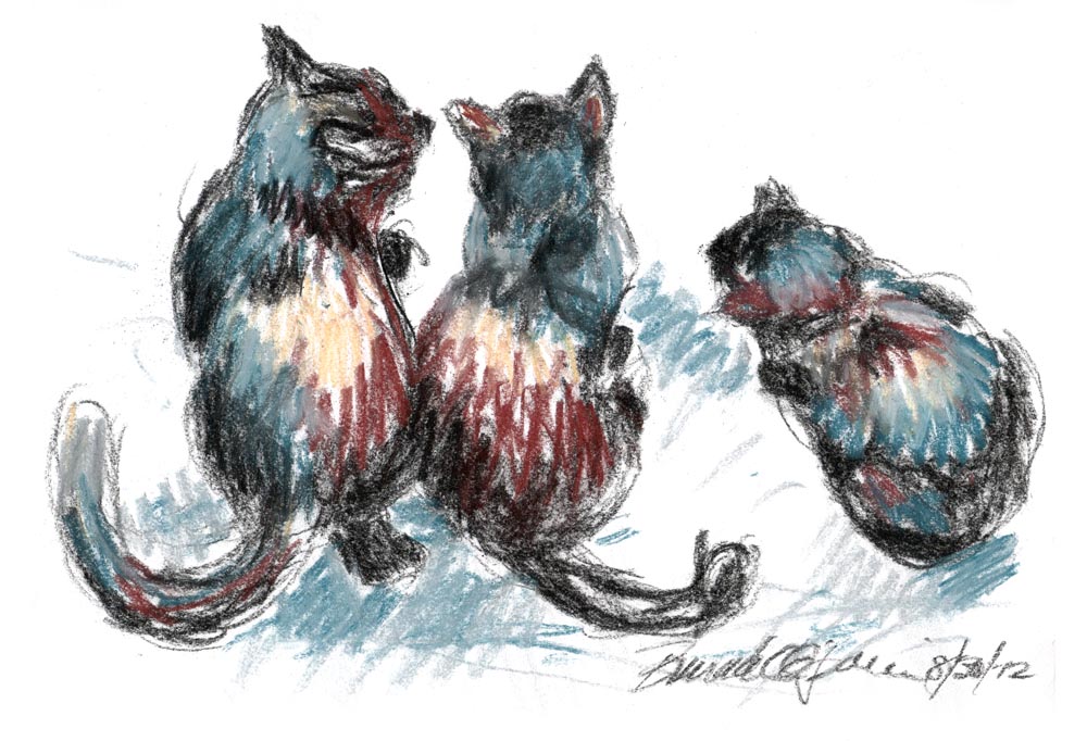 pastel sketch of three cats looking out door