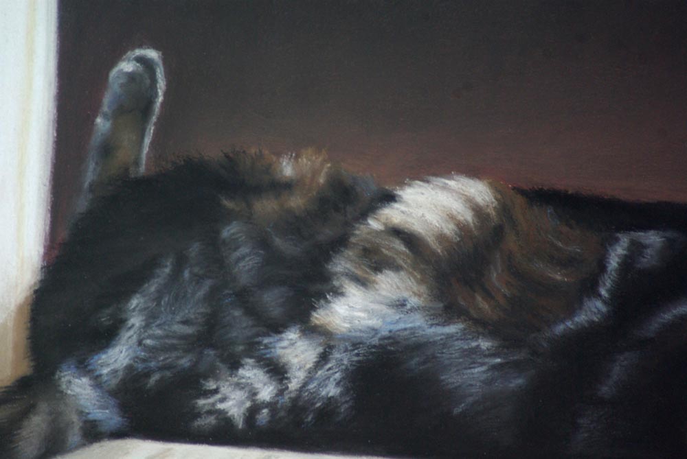portrait of black cat on floor detail