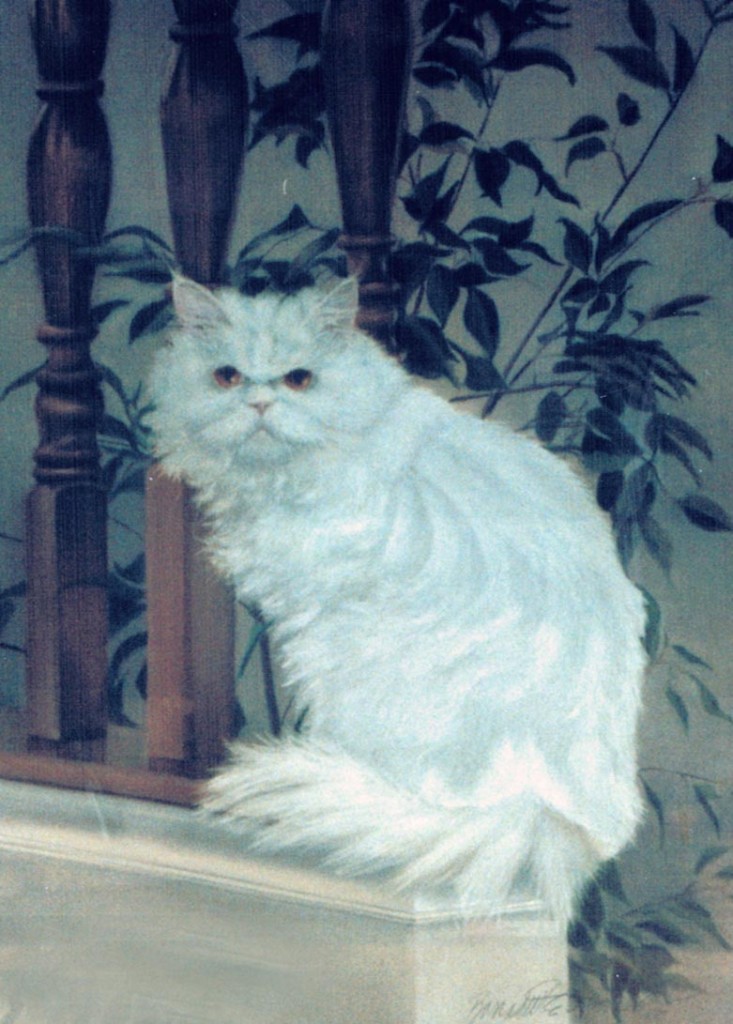 painting of white persian cat