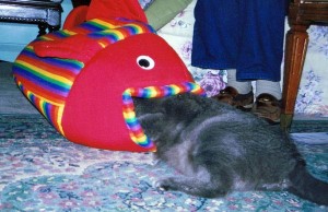 gray cat with fish-shaped bed