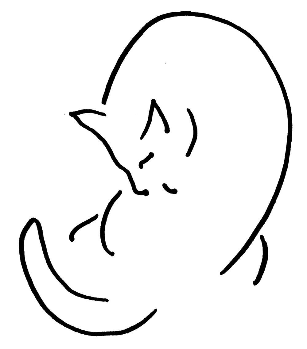 line sketch of cat bathing