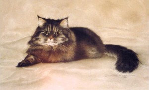 painting of tabby persian cat