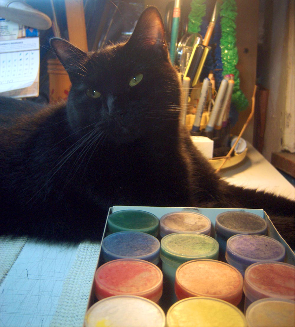 black cat with paints