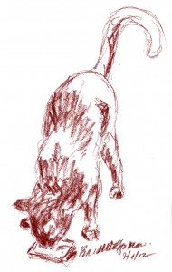 sketch of a cat sniffing catnip pillow