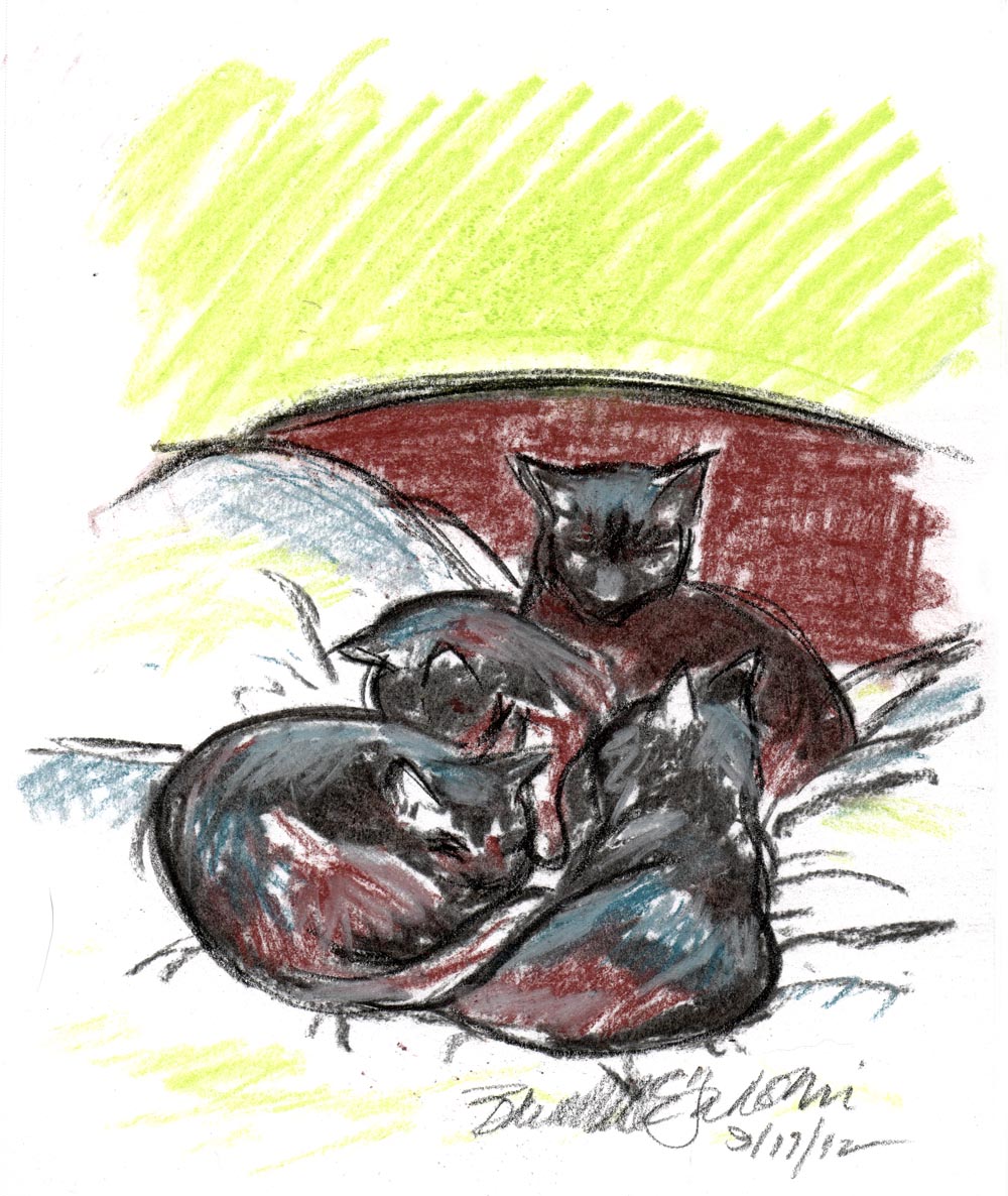pastel sketch of four black cats on bed