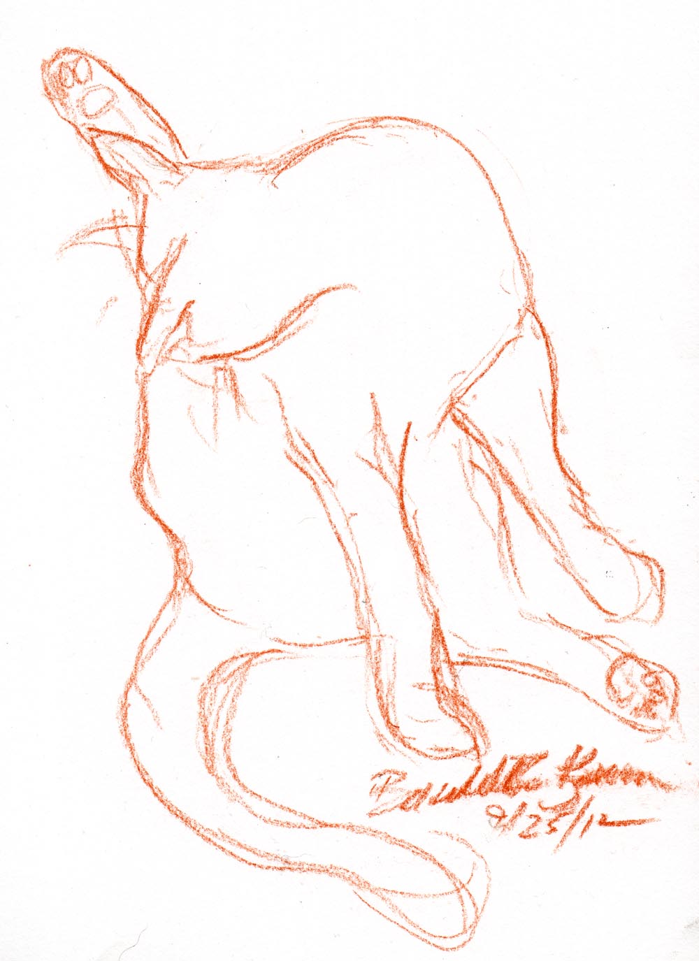 sketch of cat bathing