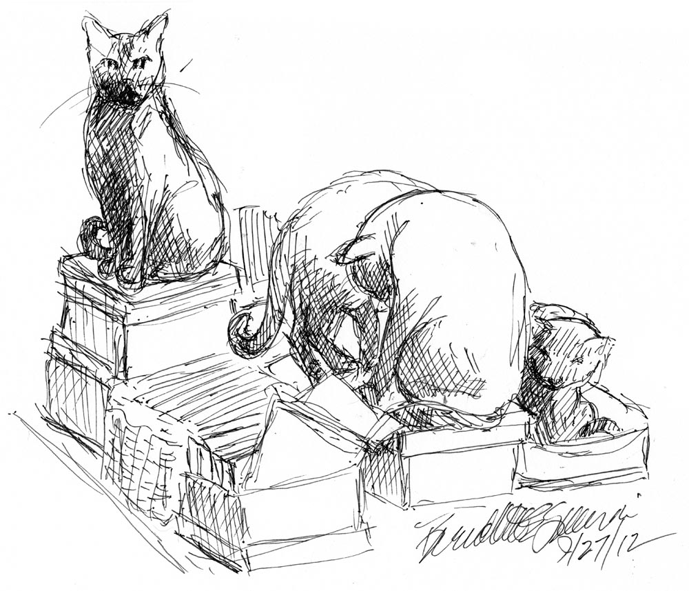 sketch of cats on boxes