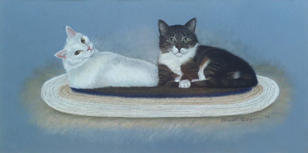 portrait of two cats on rug