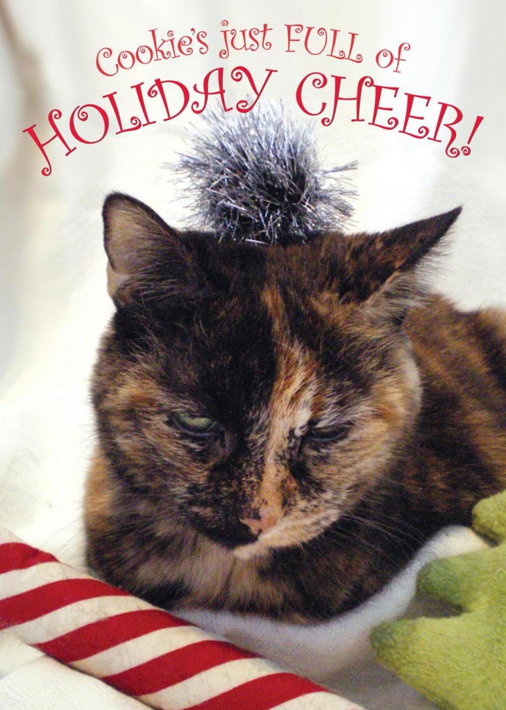 holiday card with tortoiseshell cat