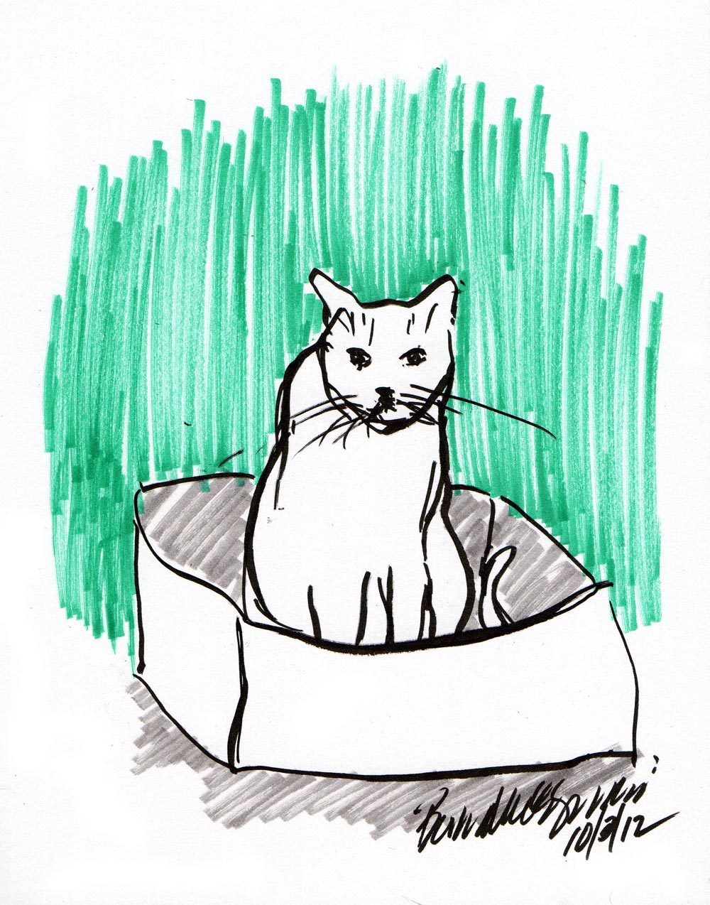 sketch of cat in box
