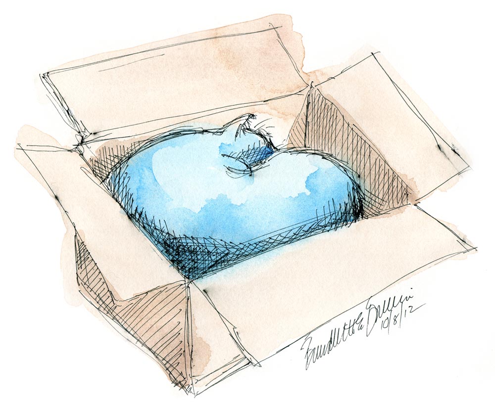 sketch of cat sleeping in box