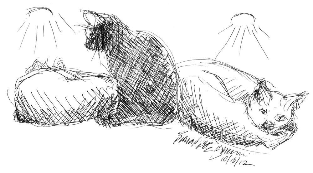 ink sketch of cat under lights