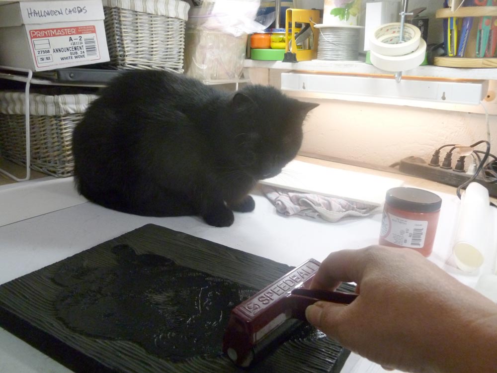 black cat watching work