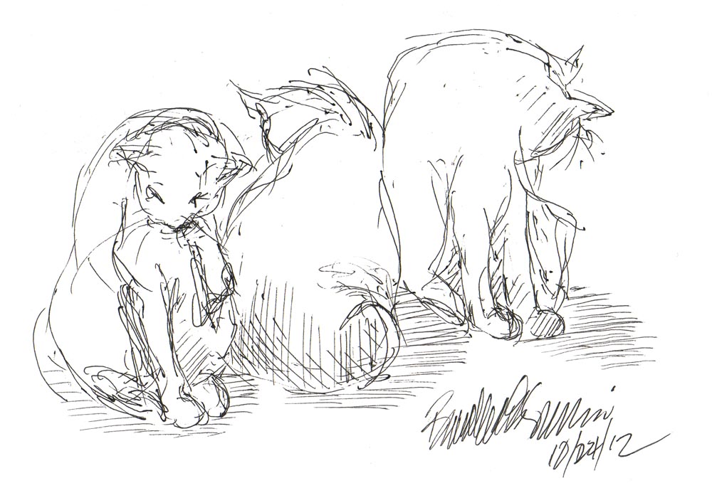 ink sketch of three cats bathing