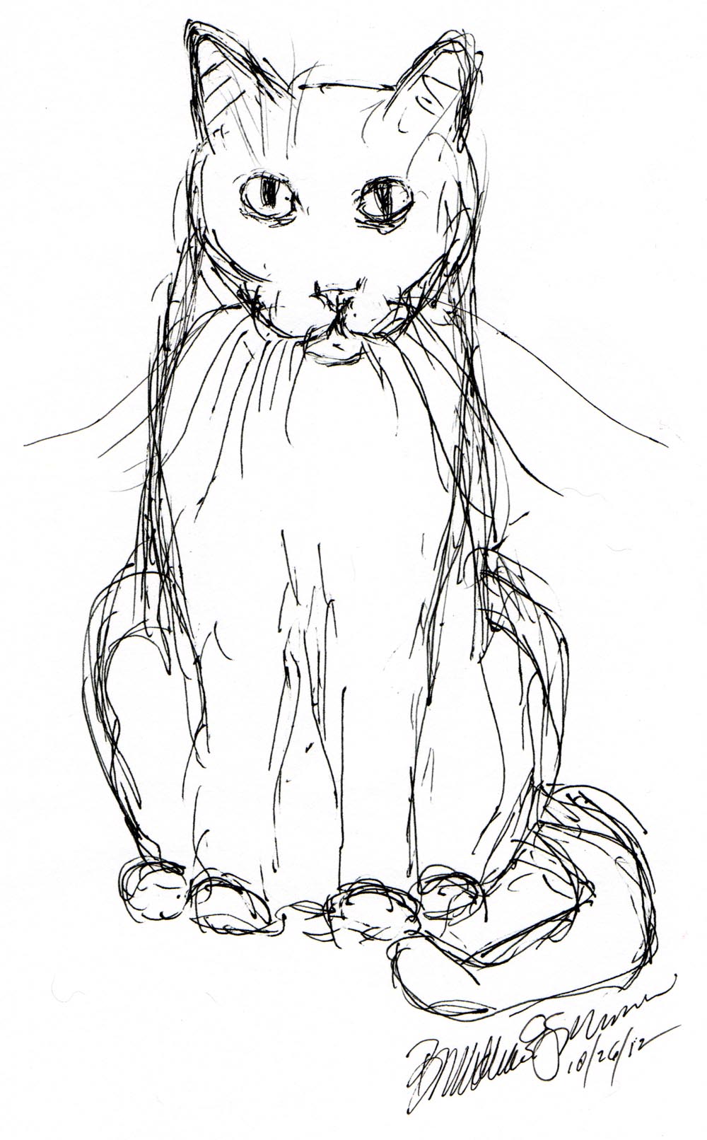 ink sketch of cat staring