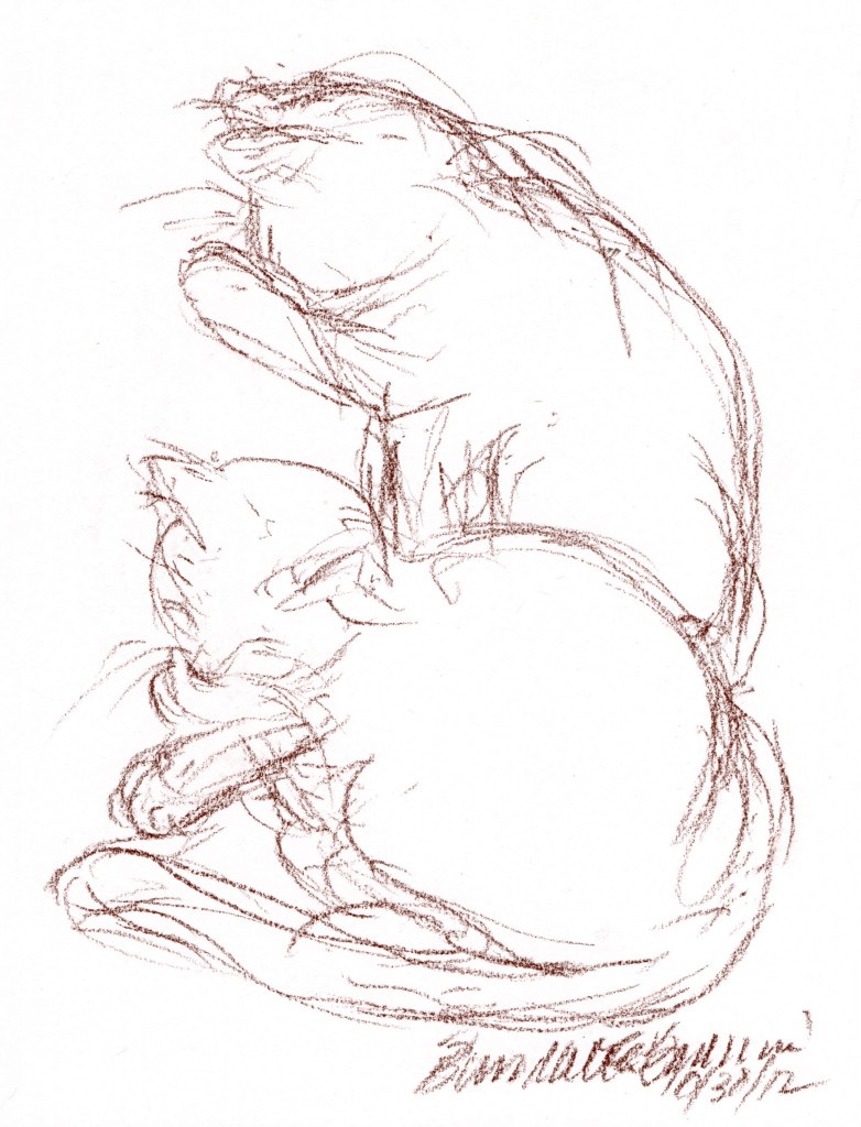 conte sketch of two cats