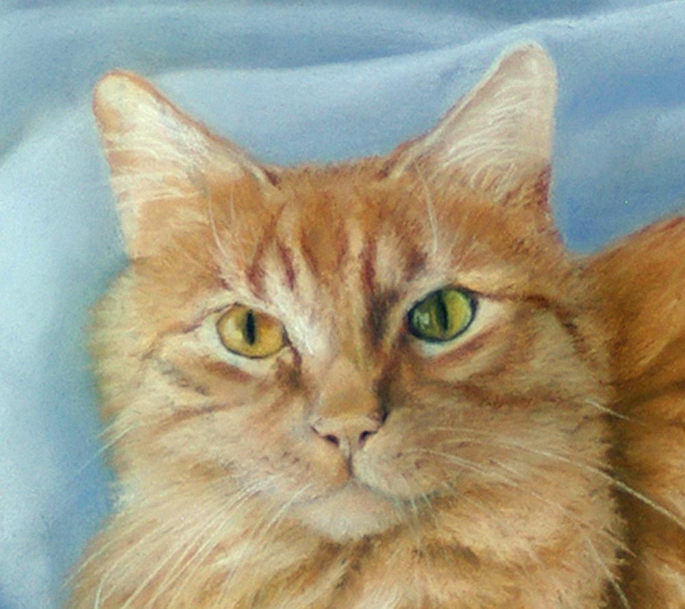 pastel portrait of long-haired orange cat
