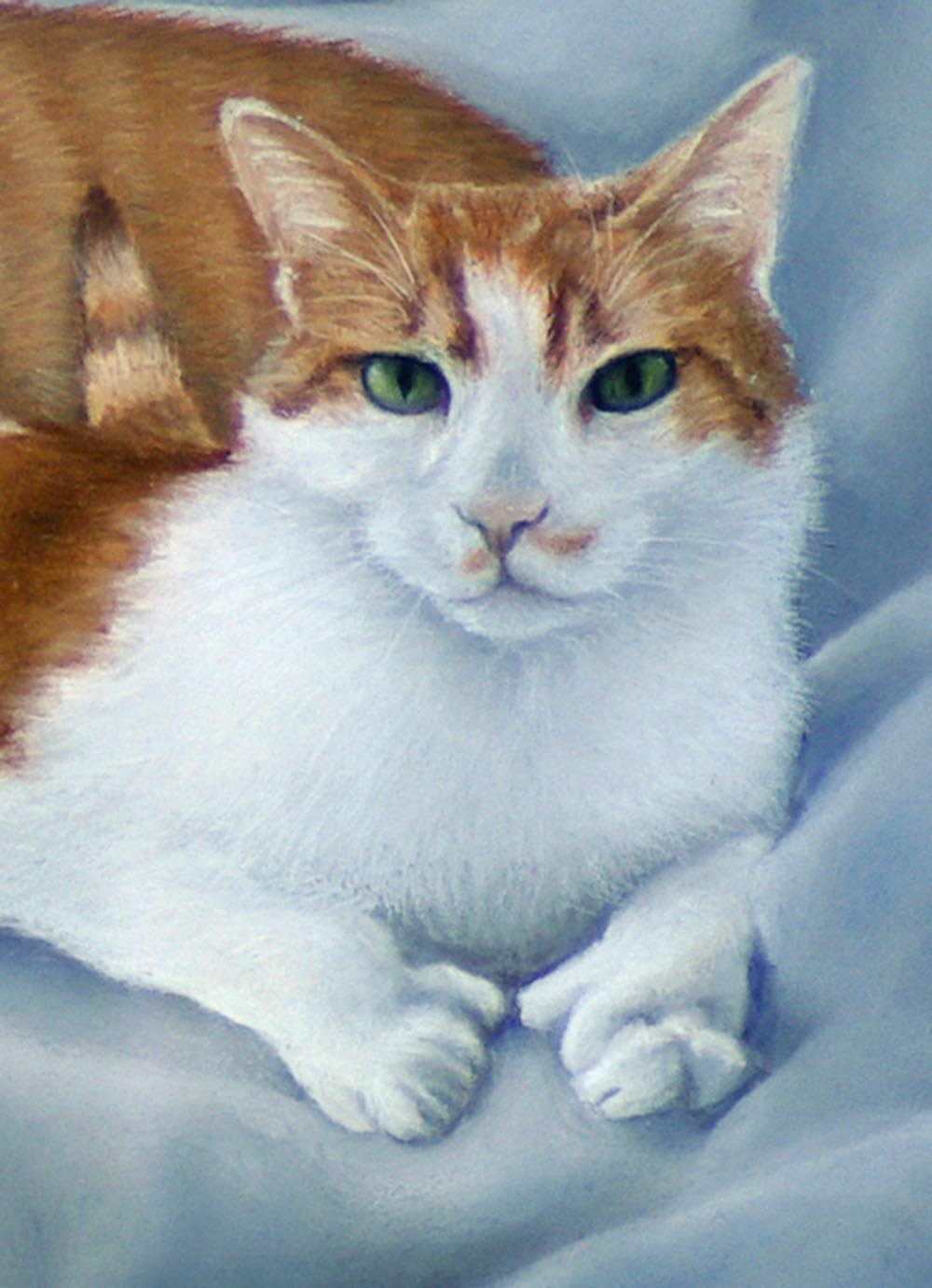 pastel portrait of orange and white cat