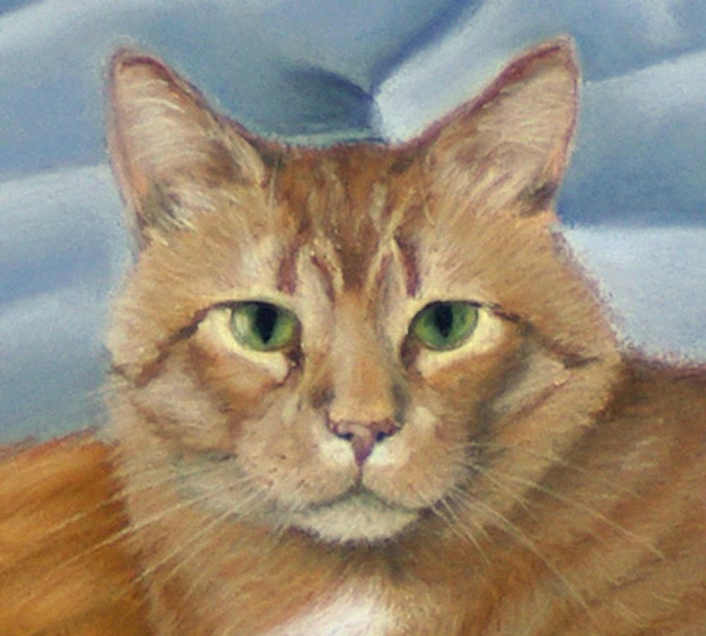 pastel portrait of orange cat