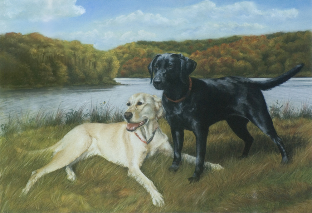 portrait of two labrador retrievers