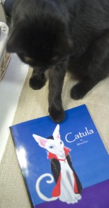 cat wth book